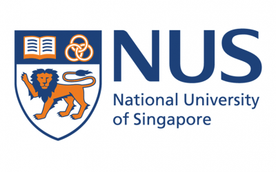 NUS Fellows Programme Scholarship